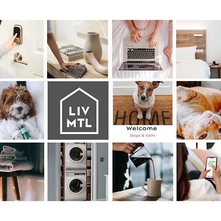 Liv Mtl Main Aparthotel Μόντρεαλ Εξωτερικό φωτογραφία