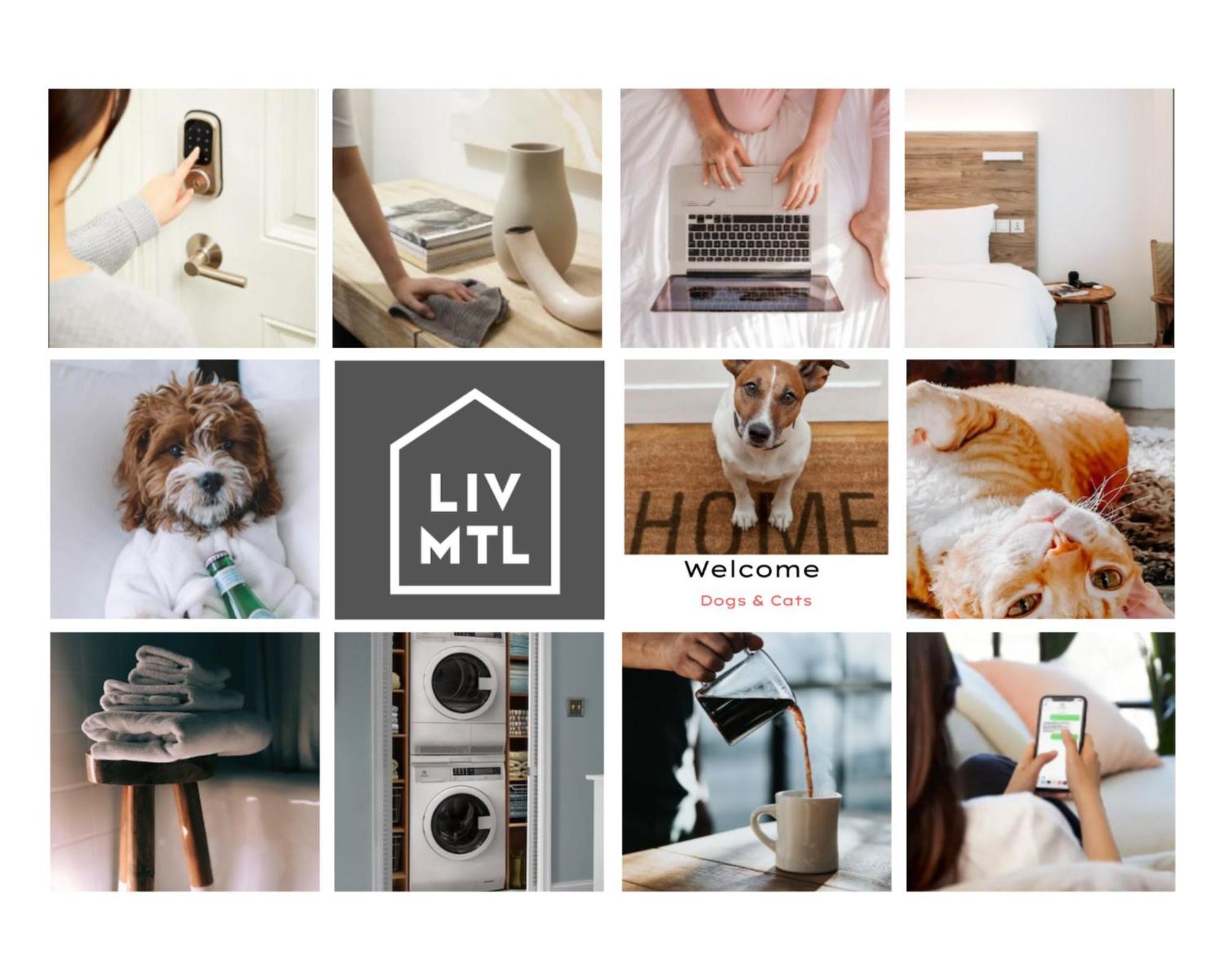 Liv Mtl Main Aparthotel Μόντρεαλ Εξωτερικό φωτογραφία